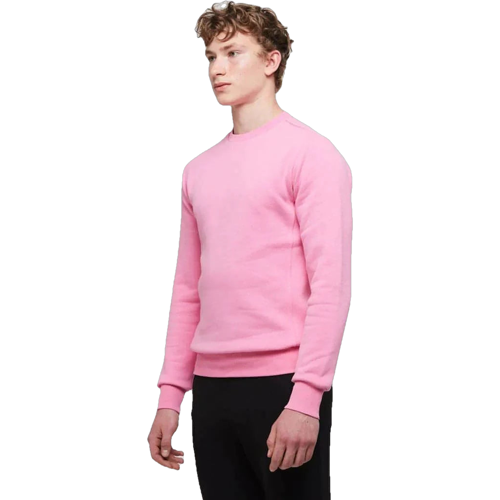 WB Comfy Men Sweatshirt Roze